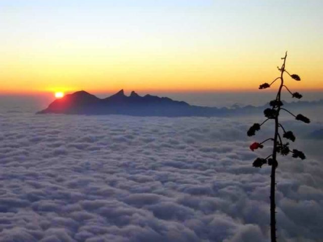 Alfonso Reyes, el Sol de Monterrey - Monterrey 360