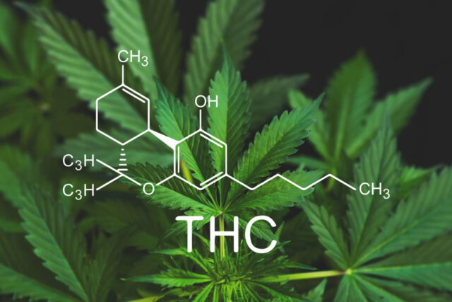 7 efectos científicos positivos de la marihuana 7 efectos científicos positivos de la marihuana