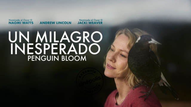 Un Milagro Inesperado