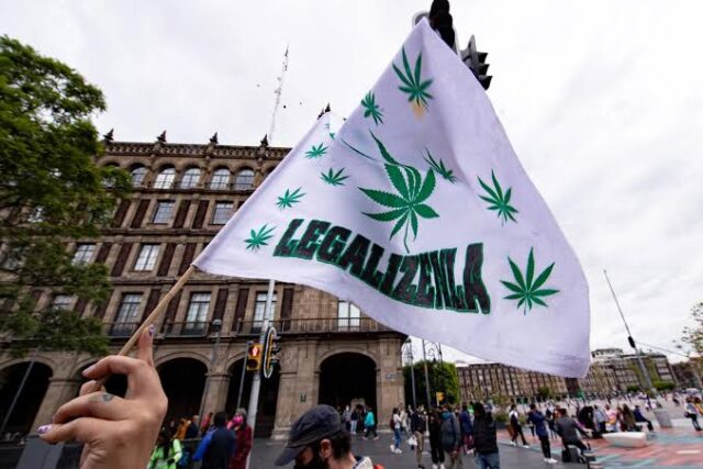 uso recreativo de la marihuana