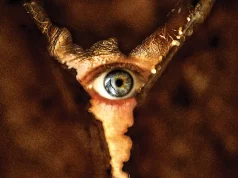 Todo sobre ‘Terror en Silent Hill: Regreso al Infierno’