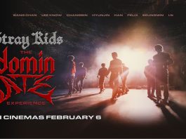 Stray Kids: The dominATE Experience